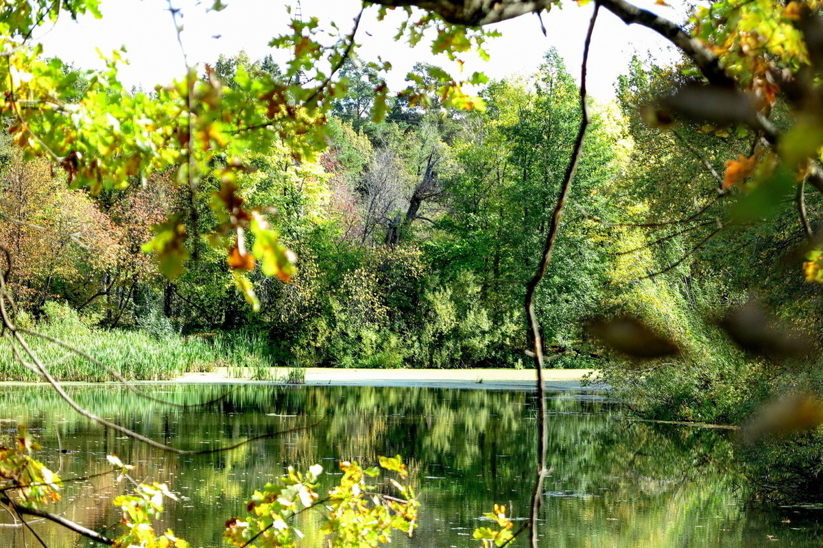 В Марий Эл змеи готовятся к зимовке, зато вернулись комары