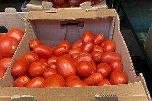 "Владимир Плотников: il successo di un giovane agricoltore grazie al sostegno del grant "Agrostartup" nella regione di Belgorod"