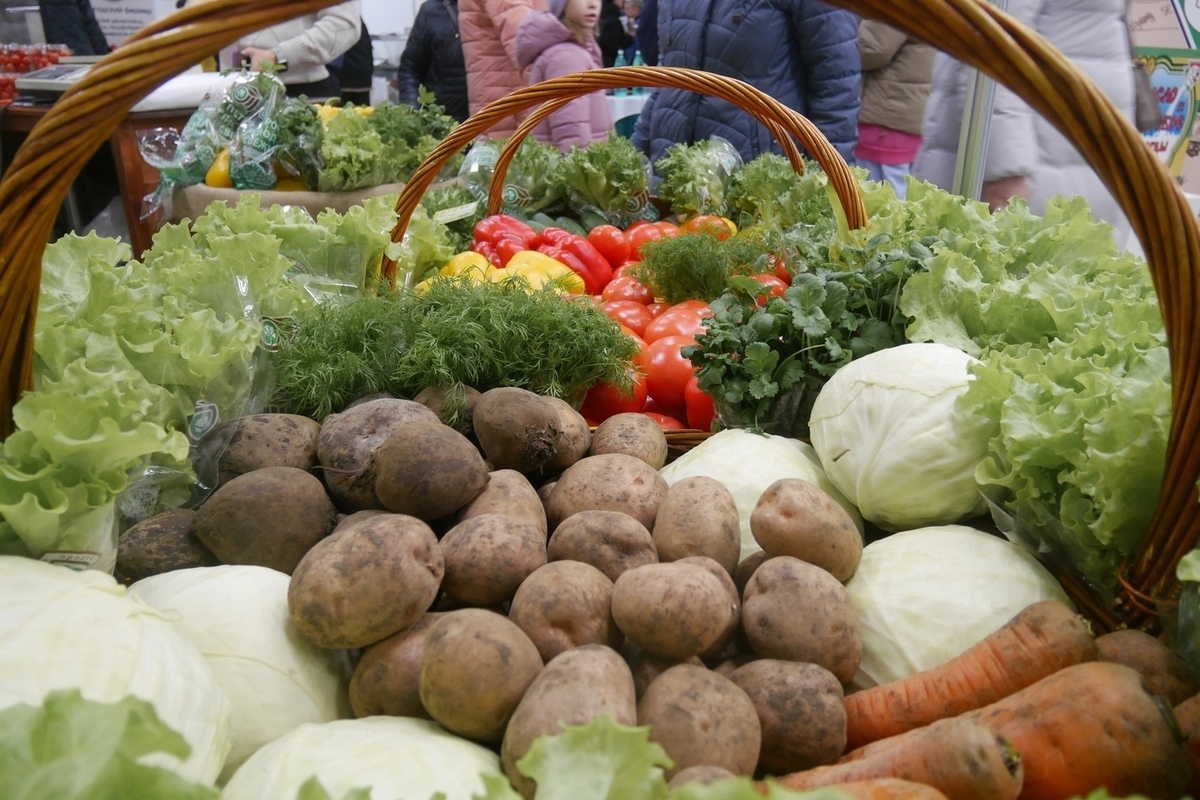 "Agrofestività autunnale: scopri le tradizioni rurali al festival 'Doni dell'autunno' a Vologda"