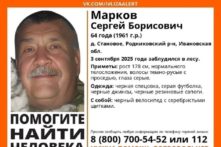 Tragedia nei boschi: la scomparsa di un gribnik e l'intervento dell'organizzazione "LizaAlert"
