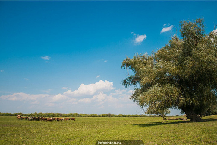 &quot;8 settembre: tra Natalia Ovsiannikova e Adriano Autunnale, tradizioni e superstizioni da conoscere&quot;