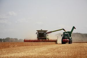 "Orlovski: la regione agricola russa che produce 3 milioni di tonnellate di cereali"