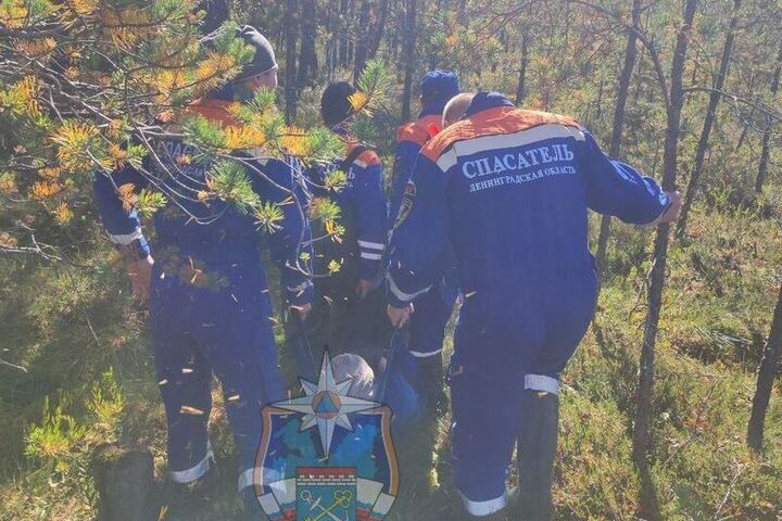 &quot;Soccorso a Tosno: uomo disperso nel bosco trovato sano e salvo dopo un giorno di ricerca&quot;