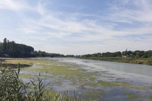 "Tragedia sul fiume Don: l'importanza di evitare il bagno in stato di ubriachezza"