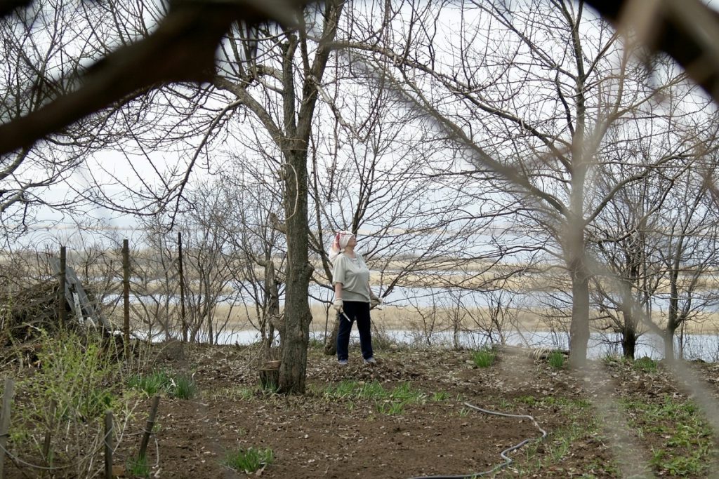 &quot;La lotta al taglio illegale di alberi in Russia: sanzioni severe per proteggere le foreste&quot;