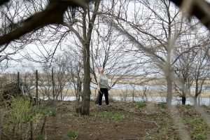 "La lotta al taglio illegale di alberi in Russia: sanzioni severe per proteggere le foreste"