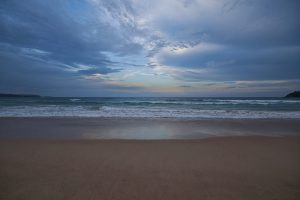 "La balenottera comune spiaggiata a Pembrey: un gigante del mare in pericolo"