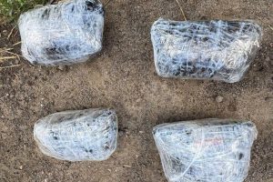 Arrestato un cittadino straniero per traffico di droga sintetica nella regione di Rjazan: le ultime novità sul caso