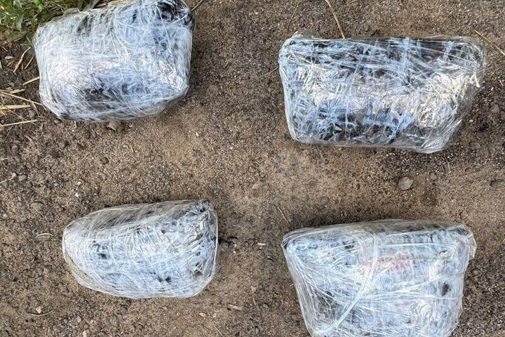 Arrestato un cittadino straniero per traffico di droga sintetica nella regione di Rjazan: le ultime novità sul caso