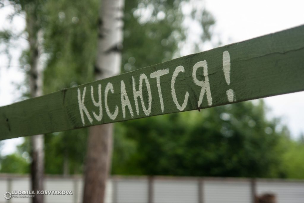 &quot;Zecche in autunno: come proteggersi nella regione della Carelia tra Russia e Finlandia&quot;