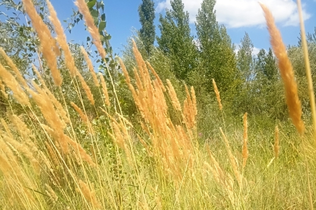 &quot;Tempeste geomagnetiche: cosa sono e come influenzano la Terra e l&#039;uomo&quot;