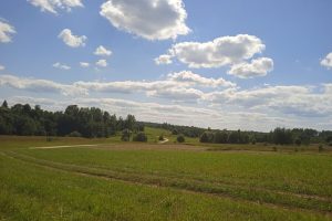 "Ragazzo ritrovato vivo nel bosco: le circostanze del suo smarrimento e l'importanza della sicurezza dei bambini"