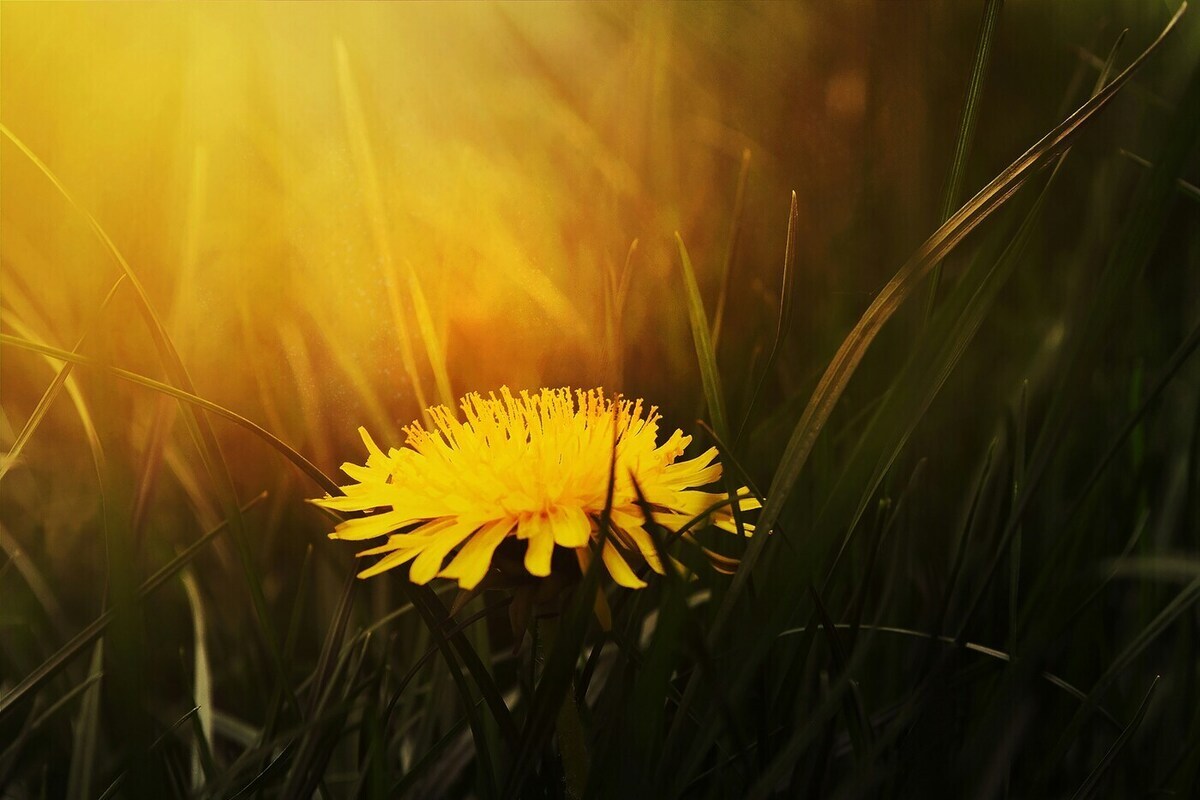 Lipetsk al caldo: record di temperatura per l'inizio dell'autunno