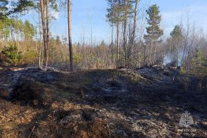 "Ликвидирован лесной пожар: l'intervento della forestale per proteggere l'ambiente"