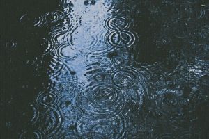 Le previsioni del tempo a Kursk per l'8 settembre: piogge leggere e temperature fino a 24 gradi!