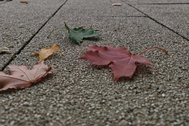 Tragico ritrovamento a Voronež: il mistero della ragazza trovata senza vita in un parco universitario