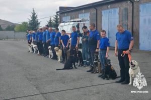 Allenamento e certificazione dei kynologi del Ministero delle Situazioni di Emergenza in Inguscezia: l'importanza delle unità cinofile nei soccorsi