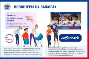 Nuove opportunità di volontariato e assistenza per i cittadini di Pskov in vista delle elezioni del 2025