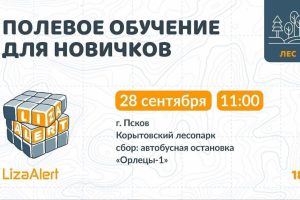 "Partecipa alle attività di ricerca di persone scomparse con il gruppo volontario "ЛизаАлерт" a Pskov"