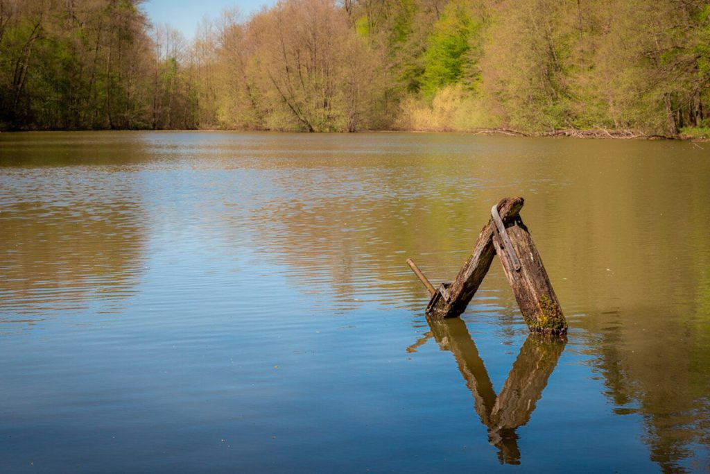 &quot;Indagine sullo smaltimento illegale di rifiuti vicino alla riserva naturale di Lipetsk: minaccia per l&#039;ambiente e la biodiversità&quot;