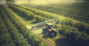 Del Monte: il futuro dopo il Chapter 11 - Ristrutturazione e prospettive di sopravvivenza