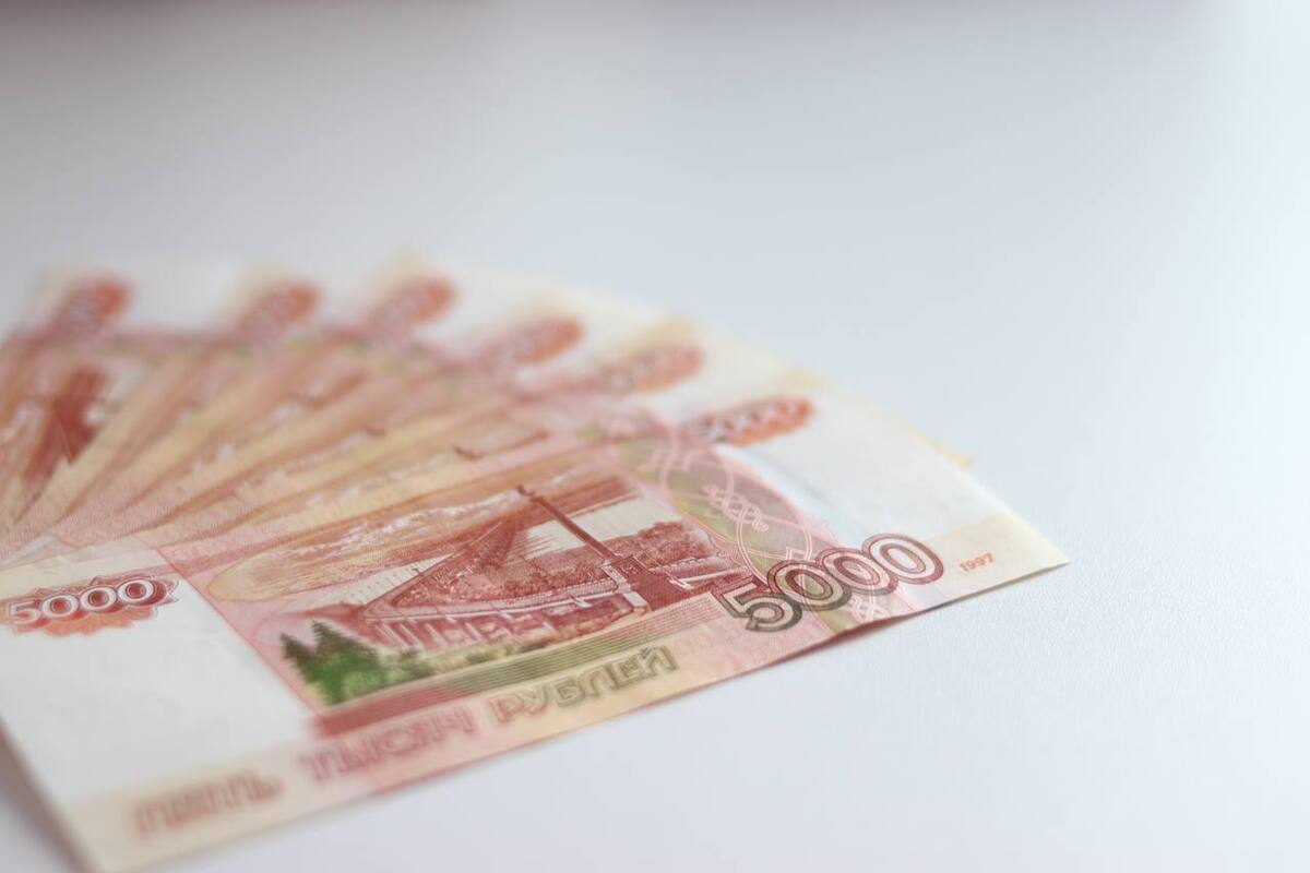 Aumento del Bilancio del Distretto di Vyborg: 481,2 Milioni di Rubli per lo Sviluppo della Regione