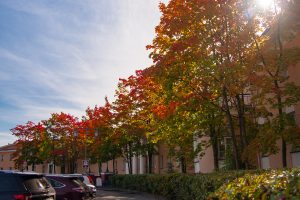 "Previsioni meteo per la Carelia: temperature e clima della settimana in arrivo"