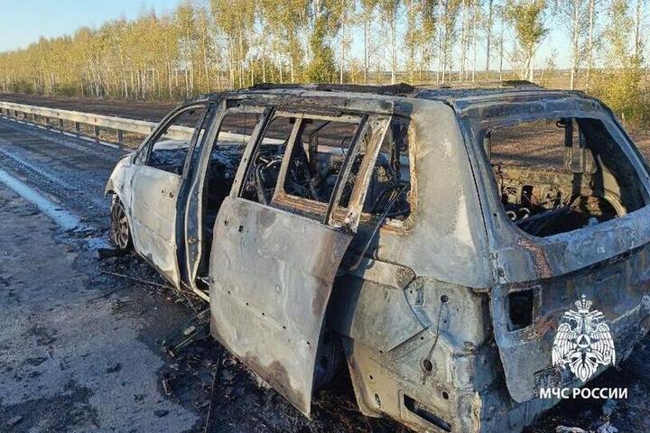 В Александро-Невском районе легковушка сгорела дотла на дороге