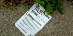 "Rivoluzione ecologica: il Movimento del 10 settembre per la salvaguardia del pianeta"