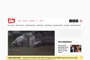 "Misteriosa morte della tigre siberiana a Palma: cause e implicazioni per la conservazione"