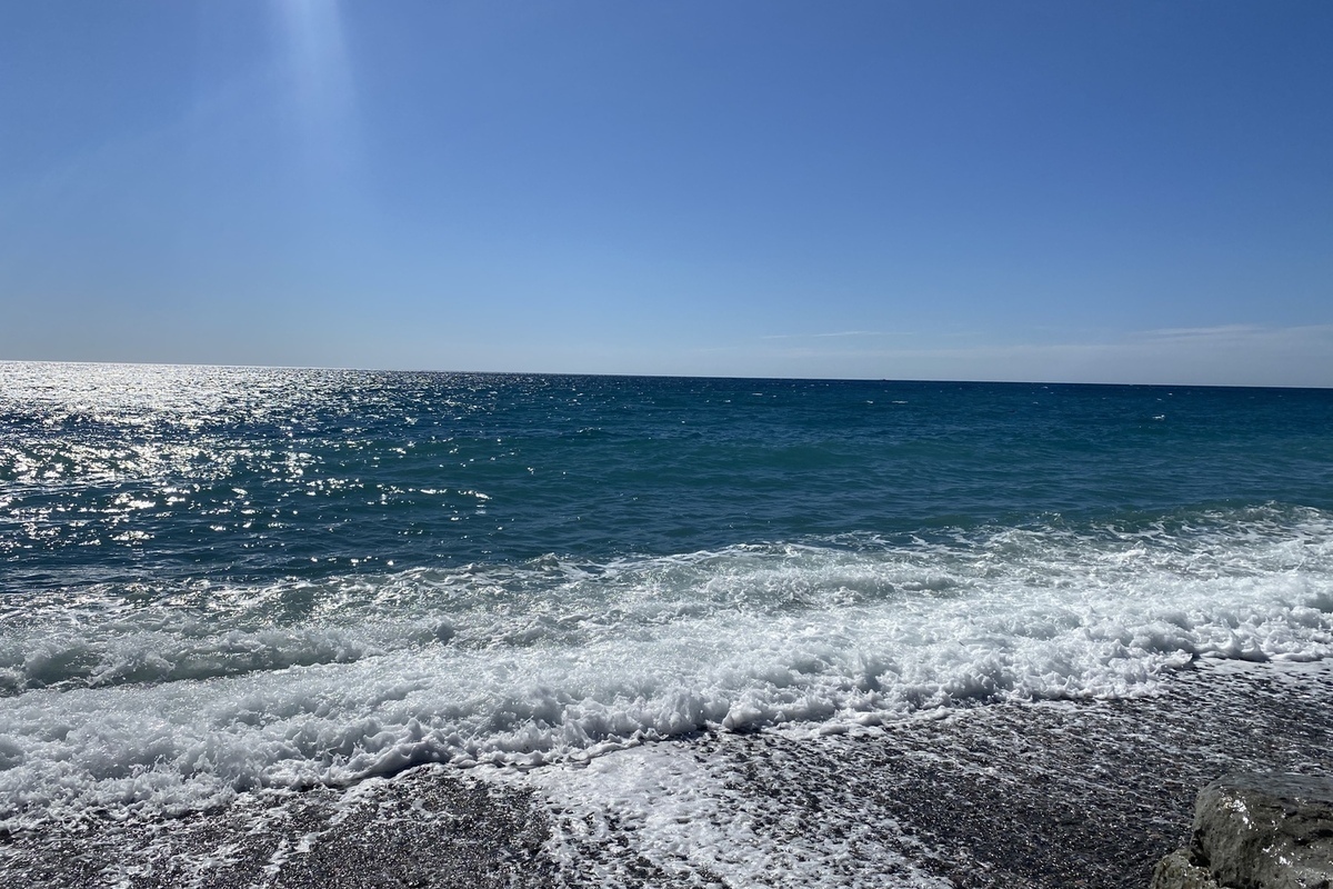 «Зеленые жемчужины» Крыма: шторм выбросил на берег редкие шарики водорослей кладофоры