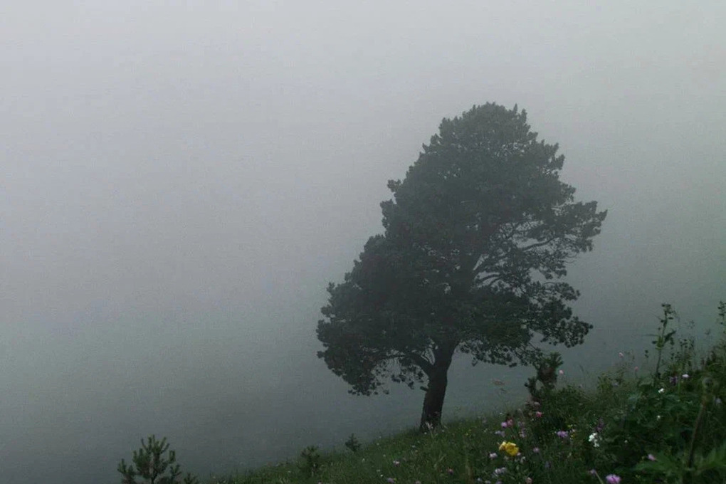 "Previsioni meteo: forte vento in arrivo sulla regione della Kuban"