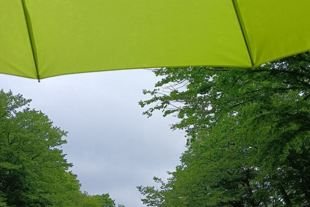 Previsioni Meteo Avverse per la Regione di Kaliningrad: Piogge e Allagamenti in Arrivo