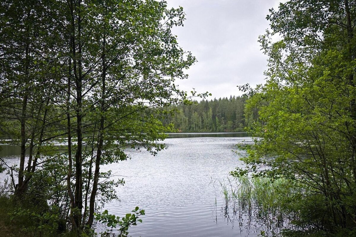 Centinaia di persone partecipano alla corsa nazionale Cross della nazione a San Pietroburgo per celebrare l'80° anniversario della Vittoria e l'Anno del Difensore della Patria