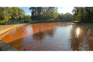 "Emergenza ambientale a Petrozavodsk: il fiume Neglinka cambia colore improvvisamente"