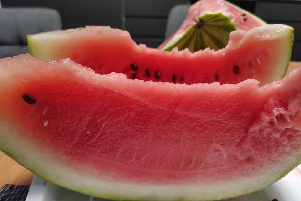 &quot;Melone da 10 kg: il segreto del successo di Elena Ivanova nella coltivazione in serra&quot;