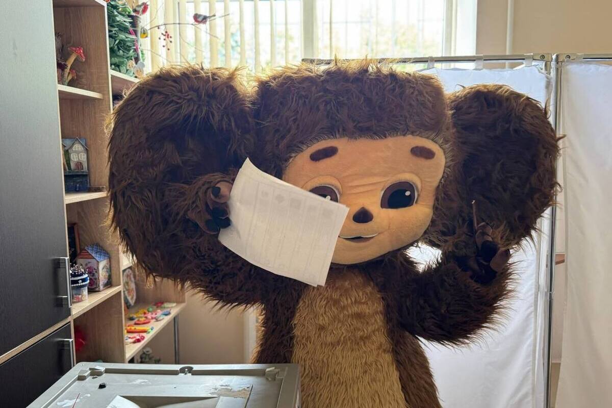 Cherbashka, il personaggio dei cartoni animati, partecipa alle elezioni a Kislovodsk: un evento inaspettato che potrebbe aumentare la partecipazione elettorale tra i giovani