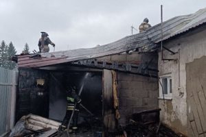 "Emergenza incendi nella regione di Tambov: vigili del fuoco al lavoro per proteggere comunità e risorse naturali"