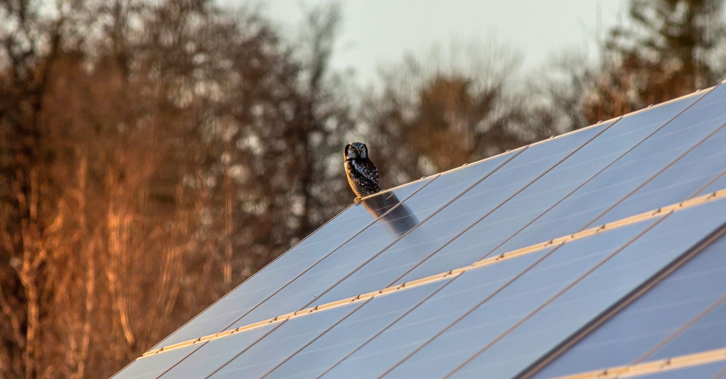 "Scandalo finanziamenti per parchi solari in Val Venosta: irregolarità e trasparenza in discussione"