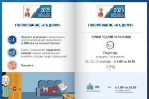 "Voto a casa: come e quando richiederlo per le elezioni locali del 12-14 settembre"