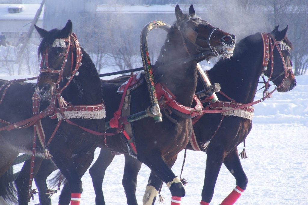 La Regione di Vologda si Apre al Turismo Rurale con l&#039;Atlante Federale dei Percorsi