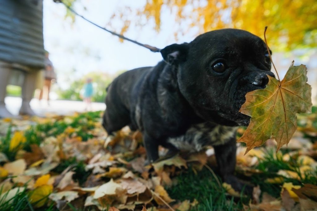 Волгоградцам дали советы по борьбе с осенней хандрой