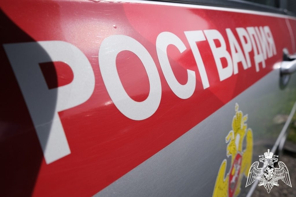 Курские росгвардейцы за неделю совершили 279 выездов по сигналу «тревога»