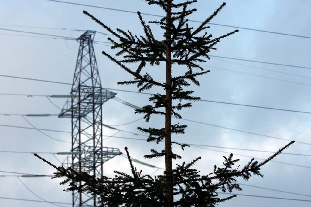 Emergenza elettricità nella regione di Cherson: 100.000 persone senza corrente a causa di un guasto alla stazione elettrica

Approfondimento
Il guasto alla stazione elettrica ha comportato la sospensione dell&#039;erogazione di elettricità in diverse aree della regione, lasciando senza elettricità un numero significativo di persone. Secondo il governatore della regione, Vladimir Saldò, circa 100.000 abitanti in 96 località sono stati colpiti da questo incidente.

Possibili Conseguenze
La mancanza di elettricità può avere conseguenze significative sulla vita quotidiana delle persone, inclusa la difficoltà di accesso a servizi essenziali come l&#039;acqua potabile, il cibo e le comunicazioni. Inoltre, la mancanza di elettricità può anche influire sulla sicurezza pubblica e sulla capacità di rispondere a emergenze.

Opinione
Purtroppo, non ci sono opinioni ufficiali disponibili al momento, ma è chiaro che la situazione richiede un&#039;attenzione immediata per garantire il benessere e la sicurezza delle persone coinvolte. È fondamentale che le autorità locali e nazionali lavorino insieme per risolvere il problema e prevenire future interruzioni.

Analisi Critica dei Fatti
La causa del guasto alla stazione elettrica non è stata ancora resa nota, ma è importante condurre un&#039;indagine approfondita per determinare le cause e prevenire futuri incidenti. Inoltre, è necessario valutare l&#039;efficacia delle misure di emergenza attuate per garantire la sicurezza e il benessere delle persone colpite.

Relazioni con altri fatti
Questo incidente può essere collegato ad altri eventi simili verificatisi nella regione, sottolineando l&#039;importanza di migliorare l&#039;infrastruttura elettrica per prevenire future interruzioni. Inoltre, la regione di Cherson ha già affrontato sfide significative in termini di infrastruttura e servizi pubblici, e questo incidente mette in luce la necessità di investimenti e miglioramenti per garantire la stabilità e la sicurezza della popolazione.

Contesto storico
La regione di Cherson ha una storia complessa e ha affrontato diverse sfide in termini di infrastruttura e servizi pubblici. Questo incidente è solo l&#039;ultimo di una serie di eventi che hanno colpito la regione, e sottolinea la necessità di investimenti e miglioramenti per garantire la stabilità e la sicurezza della popolazione.

Fonti
La fonte di questo articolo è TASS, un&#039;agenzia di stampa russa. Per ulteriori informazioni, si prega di visitare il loro sito web.