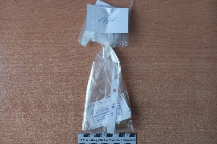 Arresto a Tambov per sospetto spaccio di droga: le autorità russe intensificano la lotta contro la diffusione di sostanze stupefacenti