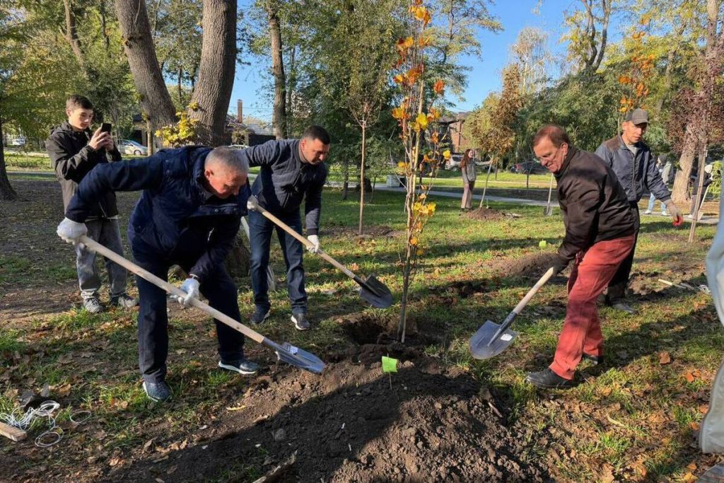 Rostov sul Don: 3000 Alberi e 6000 Cespugli Piantati per Migliorare l&#039;Ambiente Urbano
