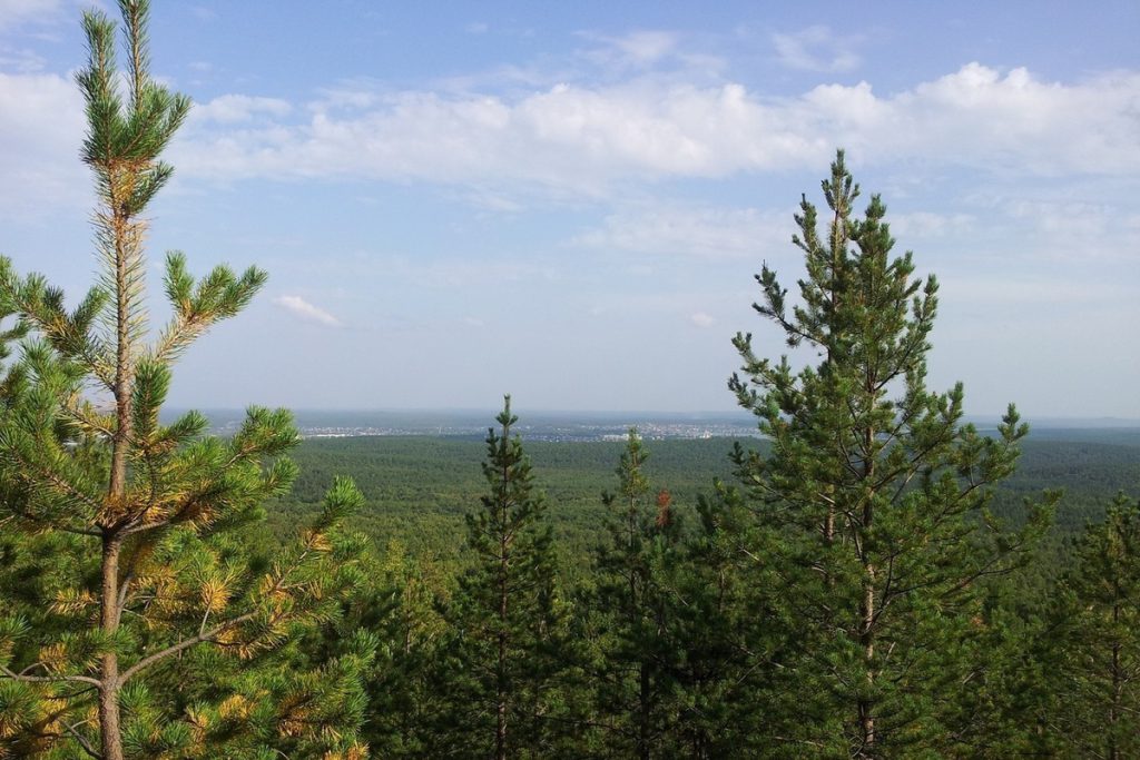 Cacciatore disperso nel bosco di Pervoural&#039;sk ritrovato sano e salvo dopo una lunga ricerca