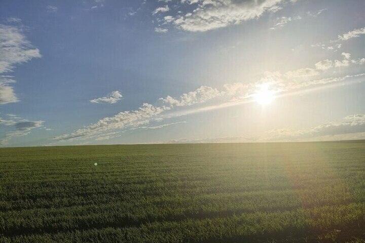 Белгородцам сообщили о вспышке на солнце предпоследнего класса мощности