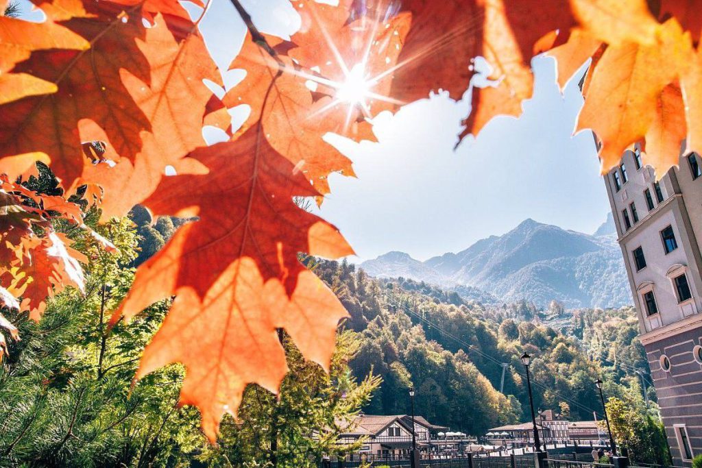 Sochi si prepara per le vacanze autunnali con un ricco programma di eventi per gli studenti