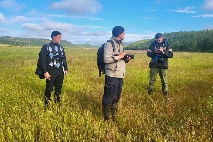 Заповедник «Пасвик» получил грант на изучение Арктики